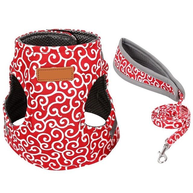 Travel Harness Leash Set for Puppy